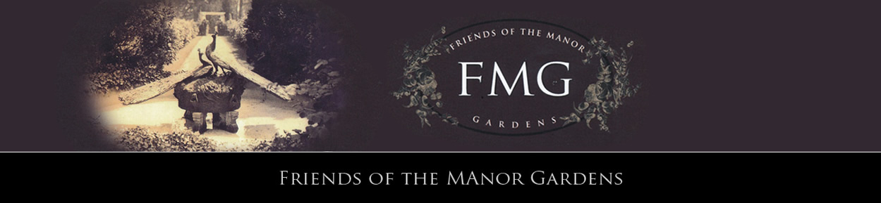 FMG banner